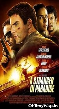A Stranger in Paradise 2013 Hindi Dubbed Movie
