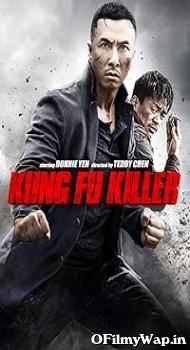 Kung Fu Jungle 2014 Hindi Dubbed Movie