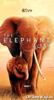 The Elephant Queen 2019 Hindi Dubbed Movie