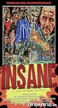 Insane 2015 Hindi Dubbed Movie