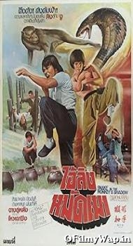 Snake in the Monkeys Shadow 1979 Hindi Dubbed Movie