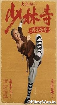 Rising Shaolin: The Protector 2021 Hindi Dubbed Movie