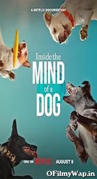 Inside the Mind of a Dog 2024 Hindi Dubbed Movie