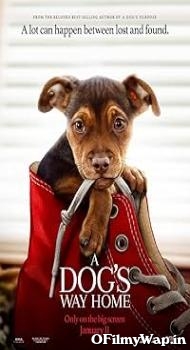 A Dog’s Way Home 2019 Hindi Dubbed Movie