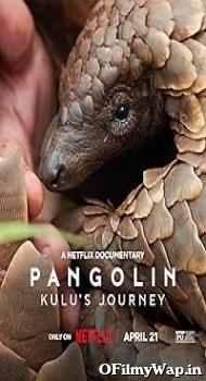 Pangolin: Kulus Journey 2025 Hindi Dubbed Movie