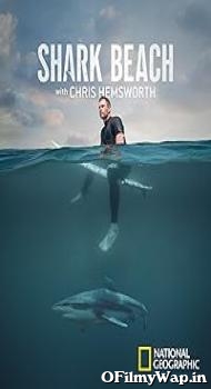 Shark Beach with Chris Hemsworth 2021 Hindi Dubbed Movie