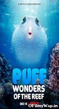 Puff: Wonders of the Reef 2021 Hindi Dubbed Movie