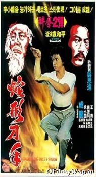 Snake in the Eagles Shadow 1978 Hindi Dubbed Movie