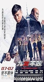 Invincible Dragon 2019 Hindi Dubbed Movie