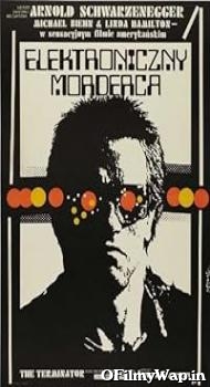 Terminator 1984-2019 Hindi Dubbed Movie